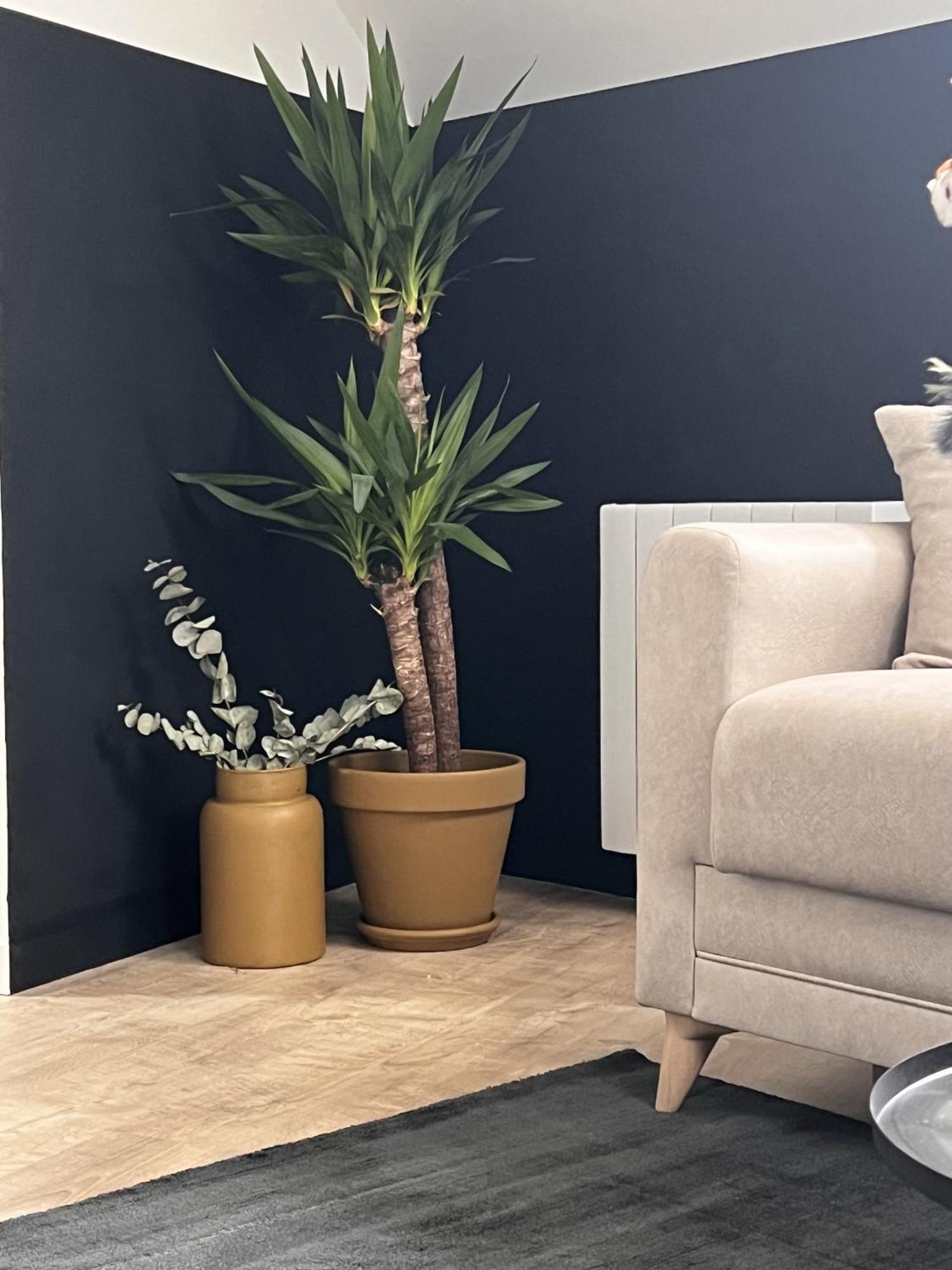 Apartment Myakaappartement Boho *
